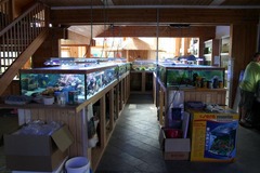 Killikus&reg; Fotographie